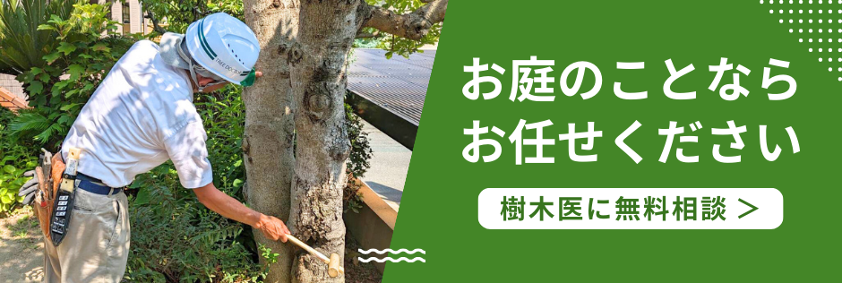 お庭のことならお任せください